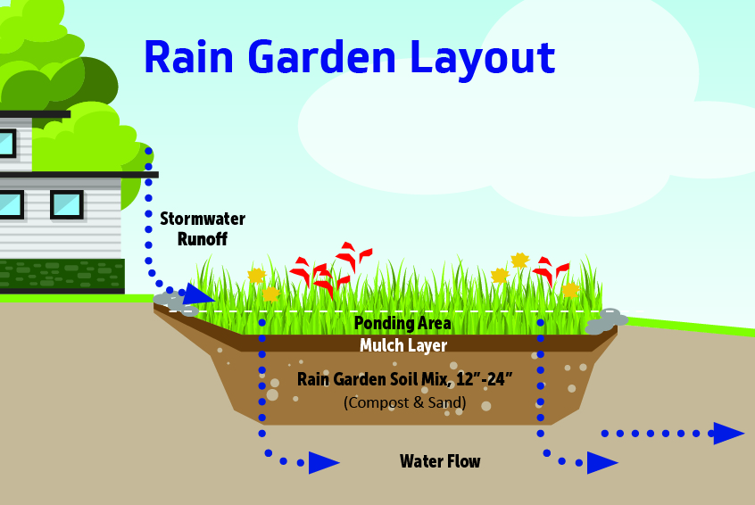 Rain Garden Diagram